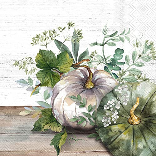 Boston International IHR Ideal Home Range - Paper Napkins GREEN AND WHITE PUMPKIN cream 20-Count 3-Ply Cocktail Napkins 5 x 5 inches