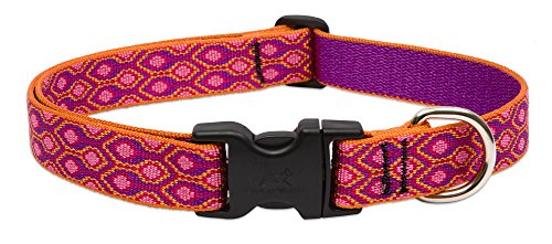 Lupine Pet Originals 1" Alpen Glow 25-31" Adjustable Collar for Extra Large Dogs