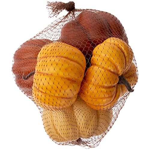 Boston International Pumpkin D√©cor Autumn & Fall Decorations, Bag of 5, Colorful Pumpkins