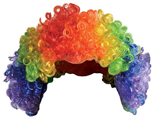 Beistle 60273 Rainbow Clown Wig