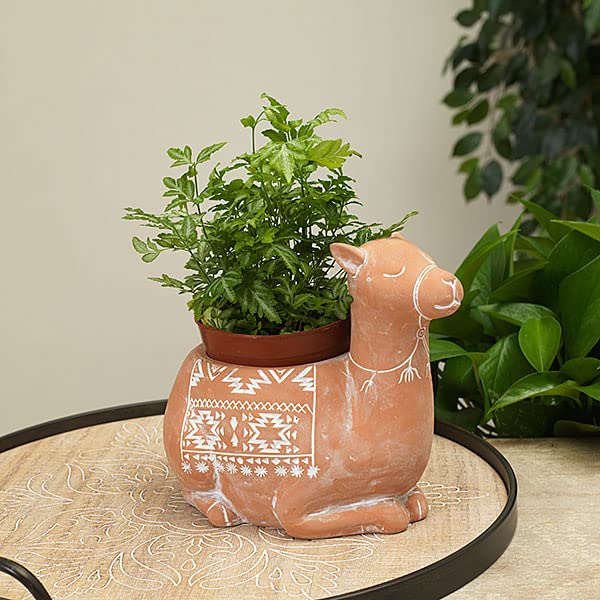 Gerson International Llama Standing Planter, 8.5 Inch Length, Terracotta