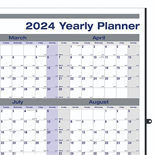 Rediform Blueline Net Zero Carbon Yearly Horizontal/Vertical Wall Planner, Laminated