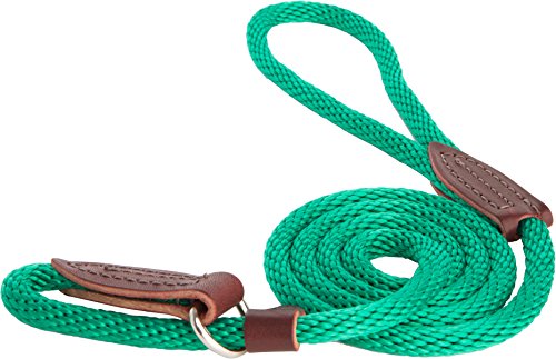 OmniPet 6-Feet Slip Lead for Dogs, X-Small, Green