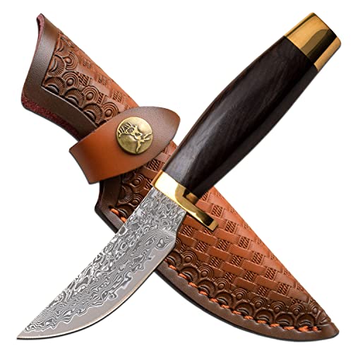 Master Cutlery Elk Ridge - Outdoors Fixed Blade Knife - Genuine Damascus Stainless Steel Blade, Polished Wood Handle, Full Tang Construction, Includes Leather Sheath, Hunting, Camping, Survival - ER-050DM