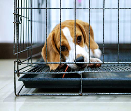 Floortex P-Tex Polycarbonate Floor Protection Mat 35" x 47" for Under Dog Crate or Pet Cage