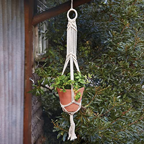 CTW 460382 Kailani Macrame Plant Hanger with Pot, 6.5-inch Height