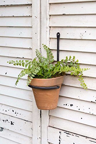 CTW Forged Plant Hanger with Terra Cotta Pot