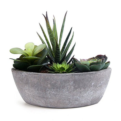 t4u succulent pots T4U 5.5 Inch Self Watering Plastic Planter with Water Level Indicator – Hour Loop