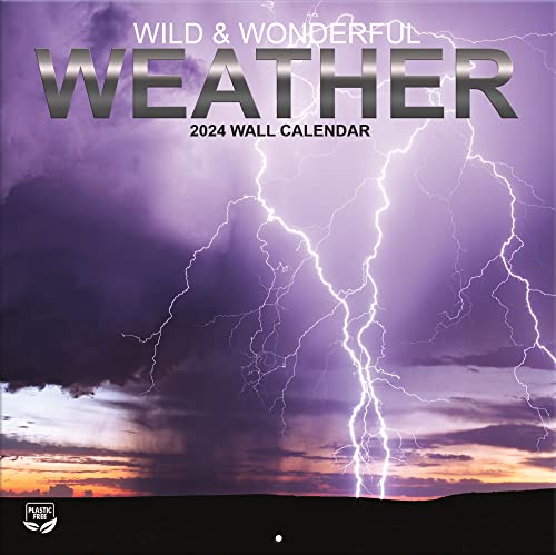 LANG Turner Photographic Wild & Wonderful Weather 12X12 Turner Wall W/Foil (24998027313)