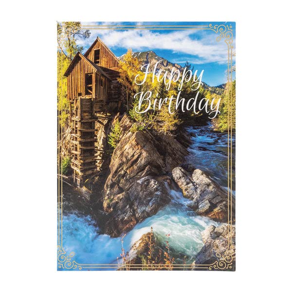 Divinity Boutique Single Cards - Birthday for Him-River-Psalm 1:3