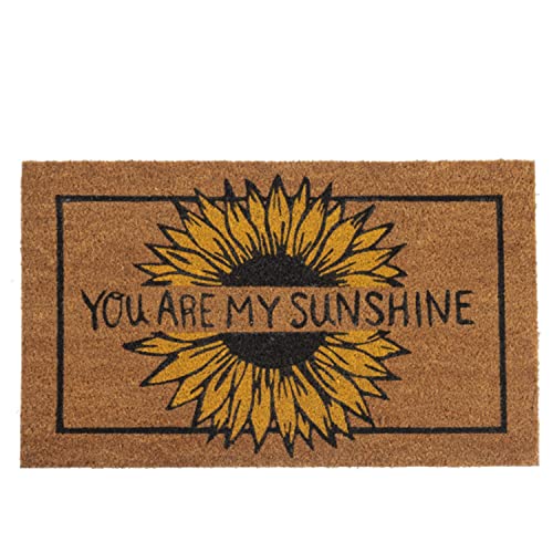 Ganz CB175365 You are My Sunshine Doormat, 30-inch Width