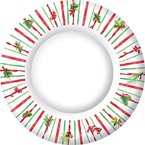 Boston International IHR Round Dinner Paper Plates, 10.5-Inches, Ribbon Stripe