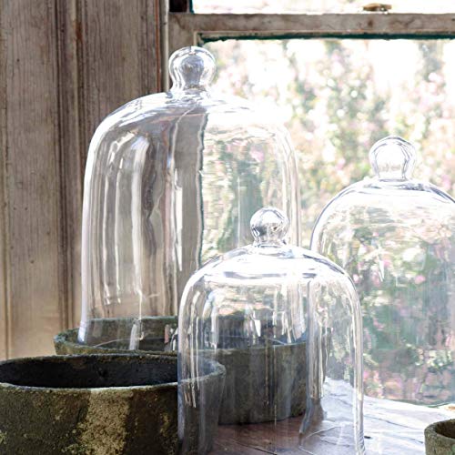 Park Hill Collection ECL82075 Bell Jar, Extra-Large, Glass, Clear
