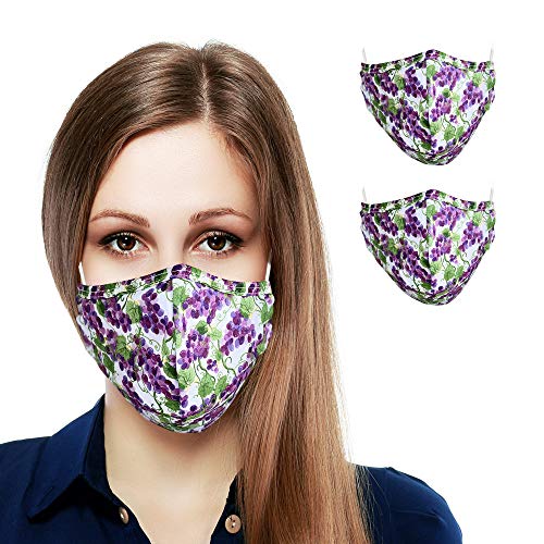 Primeware Protective Reusable Face Mask 2 Layers Cloth Mask (Pack of 2) (Grape)