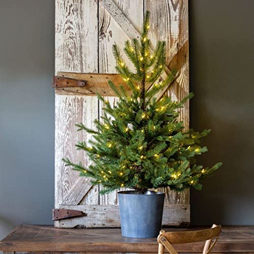 Park Hill Collection XPQ01057 Potted Porch Fir Tree, Lighted