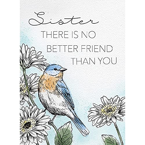 Carson Home 25081 Sister Relationship Greeting Card, 6.88-inch Length, Card Stock