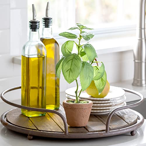 Park Hill Collection EBQ20574 Basil Plant in Windowsill Pot, 10.25-inch Height