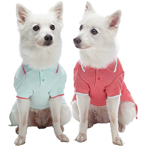 Blueberry Pet Pack of 2 Back to Basic Cotton Blend Dog Polo Shirts in Mint Blue and Terra Cotta Red, Back Length 14", Clothes for Dogs