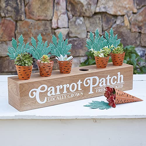 CTW Colonial Tin Works 440213 Carrot Patch Display Box, 26-inch Width