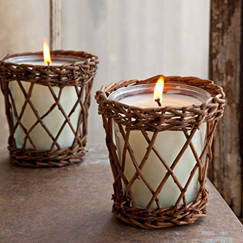 Park Hill Collection ENP10012 Willow Candle, 12 oz (Old Estate Magnolia)