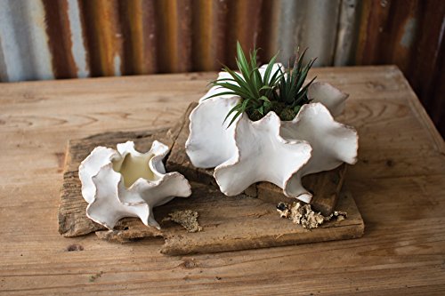 Kalalou Organic Ceramic Planters, Set of Two