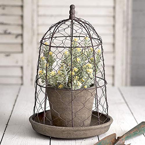 CTW Home Collection Chicken Wire Cloche with Terra Cotta Pot and Saucer
