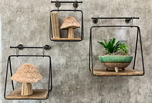 Great Finds W521 Wood and Iron Shelves, Set of 3
