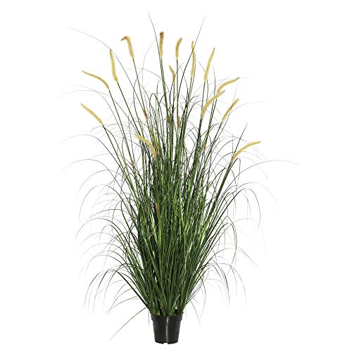 Vickerman Everyday 48" Artificial Green Foxtail Grass With Black Plastic Pot - Faux Grass Plant Decor - Home Or Office Indoor Greenery Accent