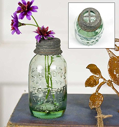 CTW Home Collection Small Mason Jar with Flower Frog