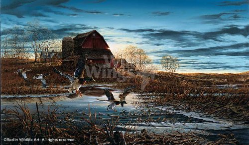 Wild Wings(MN) Morning Chores Elite Print by Terry Redlin