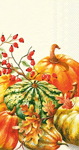 Boston International Ideal Home Range 16 Count Calabaza Banquet Napkins, Cream
