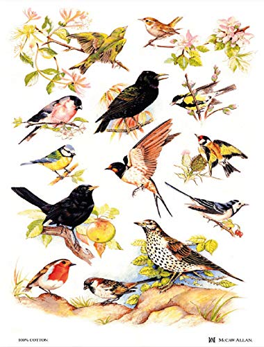 Samuel Lamont, 'British Birds' Kitchen/Tea Towel, Imported, 100 Percent Cotton