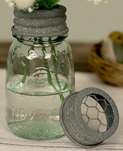 CTW 1/4 Pint Mason Jar Flower Frog Vase