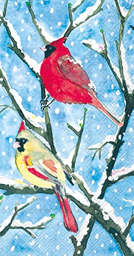 Boston International IHR 3-Ply Guest Towel Buffet Winter Holiday Christmas Paper Napkins, 16-Count, Winter Birds