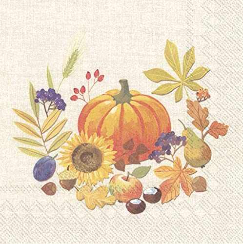 Boston International IHR 3-Ply Lunch Paper Napkins, 6.5 x 6.5-Inches, Little Pumpkin Linen