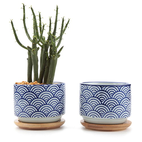 T4U 3 Inch Ceramic Succulent Planter Pots with Bamboo Tray Set of 2, Japanese Style Porcelain Handicraft as Gift for Mom Sister Aunt Best for Home Office Restaurant Table Desk Window Sill Decoration