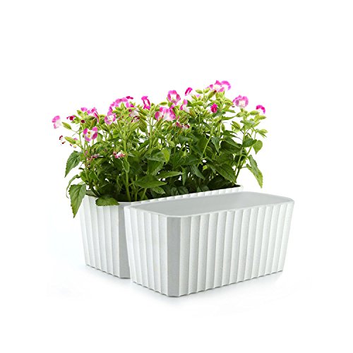 T4U Plastic Rectangular Self Watering Window Box with Water Level Indicator White Set of 2, Modern Decorative Planter Pot for All House Plants, Flowers, Herbs, African Violets, Succulents