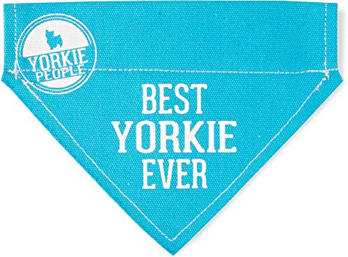 Pavilion Gift Company Pavilion-Best Yorkie Ever-Sky Blue Canvas Small Dog Collar-7" x 5" Pet Bandana, 7x5 Inch