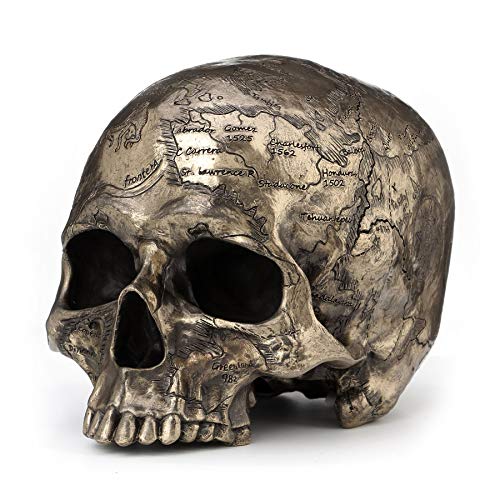 Unicorn Studio Veronese Design Bronze Finish Craniumography Old Treasure Map On Skull Statue