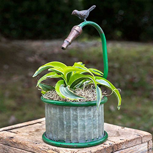 CTW Songbird Collection Garden Hose Small Round Planter