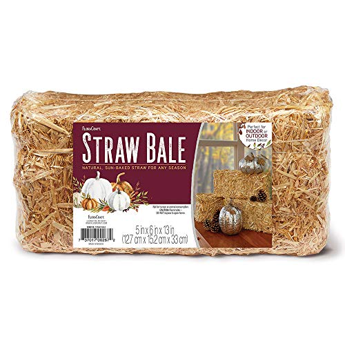 FloraCraft Straw Bale, 6-Inch by 5-Inch by 13-Inch, Natural