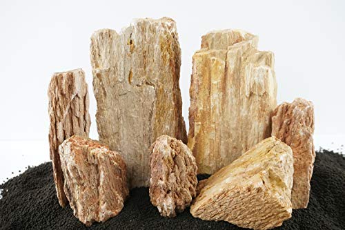 Lifegard Aquatics 10G-Burma Burma Petrified Stone 10G Rock Kit, Brown
