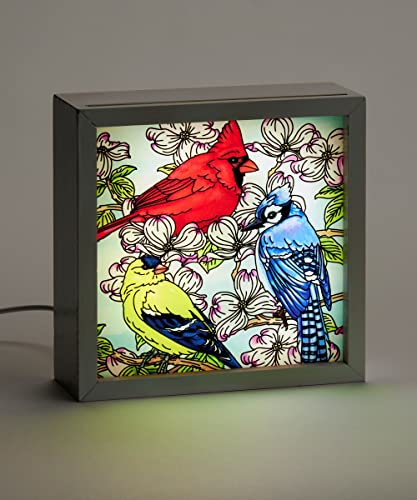 Giftcraft 717914 Cardinal, Blue Jay and Yellow Finch LED Light Box, 6-inch Square