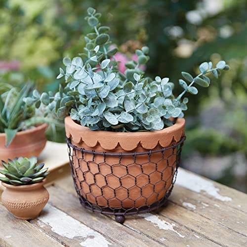 CTW Home Collection 460359 Chicken Wire Caddy with Scalloped Terra Cotta Pot, 6.5-inch Diameter, Terra Cotta