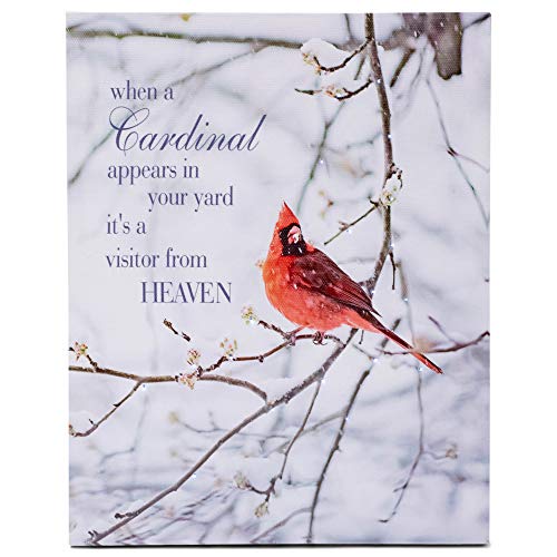 Roman 133282 Led Visitor from Heaven, 10 inch, Multicolor