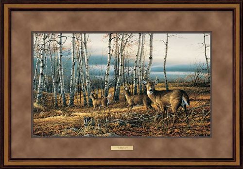 Wild Wings(MN) The Birch Line Framed Elite Print by Terry Redlin