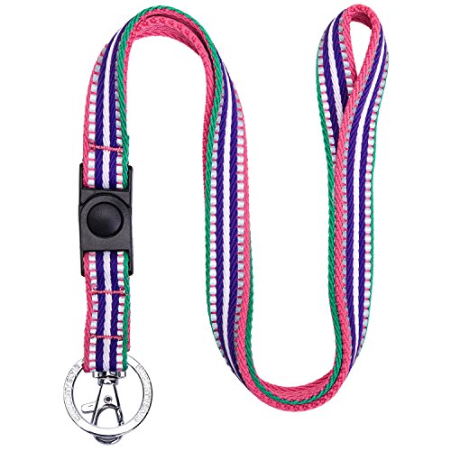 Blueberry Pet 3M Reflective Multi-colored Stripe Pink Emerald and Orchid Men Women Fashion Non Breakaway Lanyard Keychain for Keys / ID Card / Badge Holder, 3/4" Wide