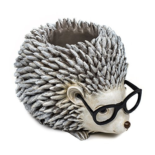 Roman Woodland Critters with Eye Glasses Novelty Planters (Hedgehog)