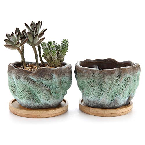 T4U 4 Inch Ceramic Succulent Planter Pot Pack of 2 - Bowl Shape, Small Cactus Herb Plant Pot Window Box Container for Home Office Desktop Tabletop Decoration Gift for Christmas Wedding Birthday