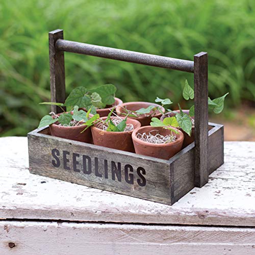 CTW Home Collection Seedling Pots Caddy